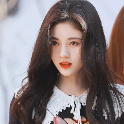 狮子军龙虎鬪海报