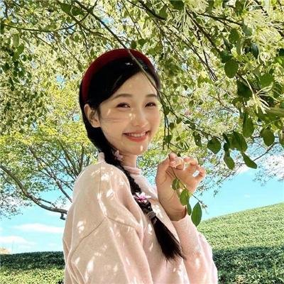 金鹿海报